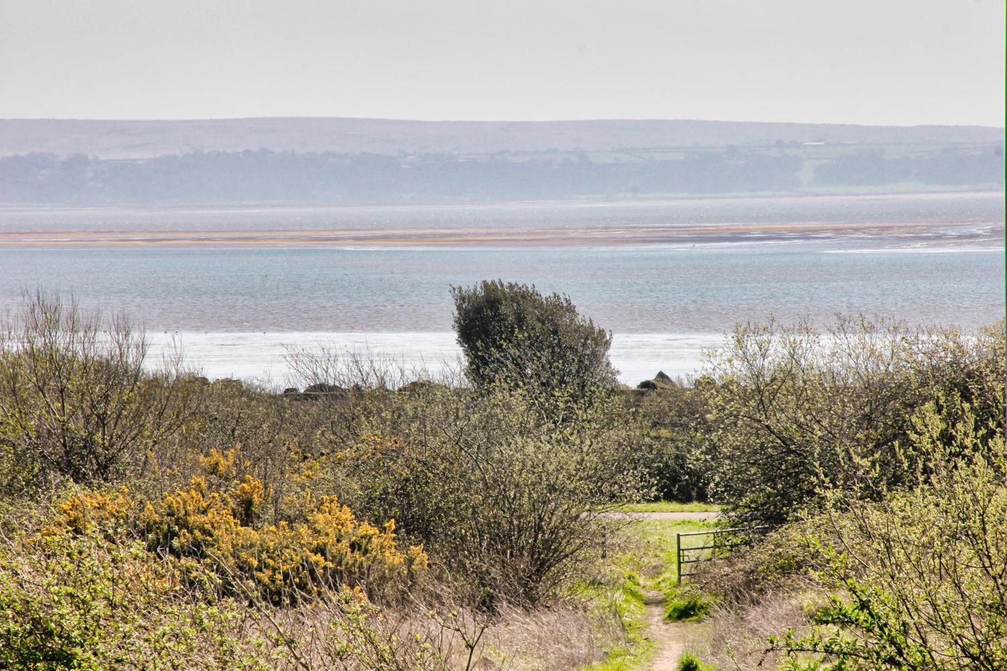 Blue Rose Cottage Burry Port Chambre photo